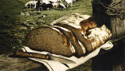 Le pastourneau 1